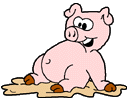 pig.gif